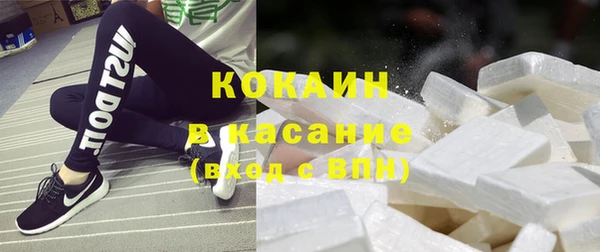 прущие крисы Корсаков
